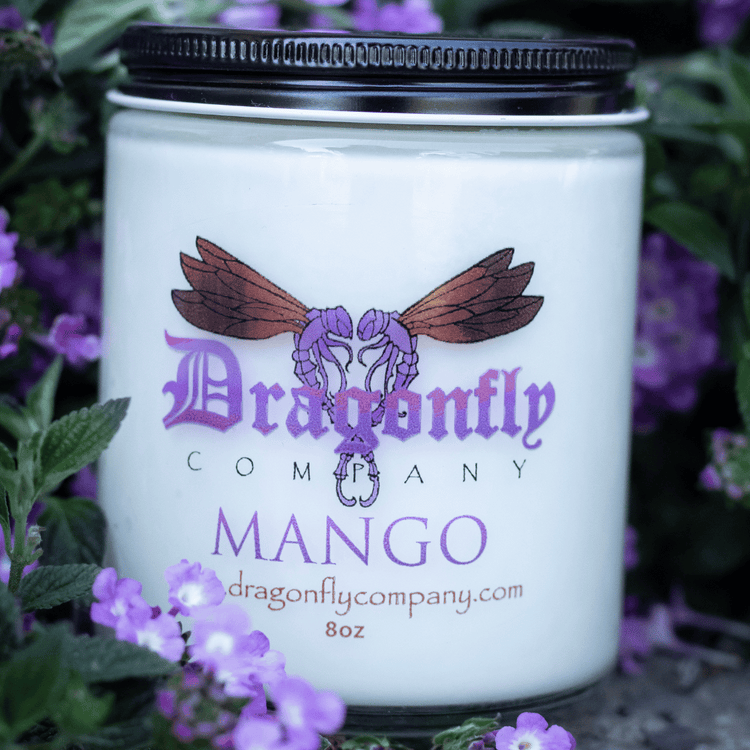 Mango Candle by Dragonfly Co 