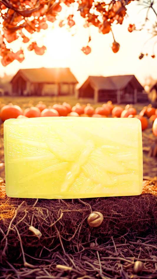 Handmade All-Natural Pumpkin Spice Soap with Pumpkin Seed Oil